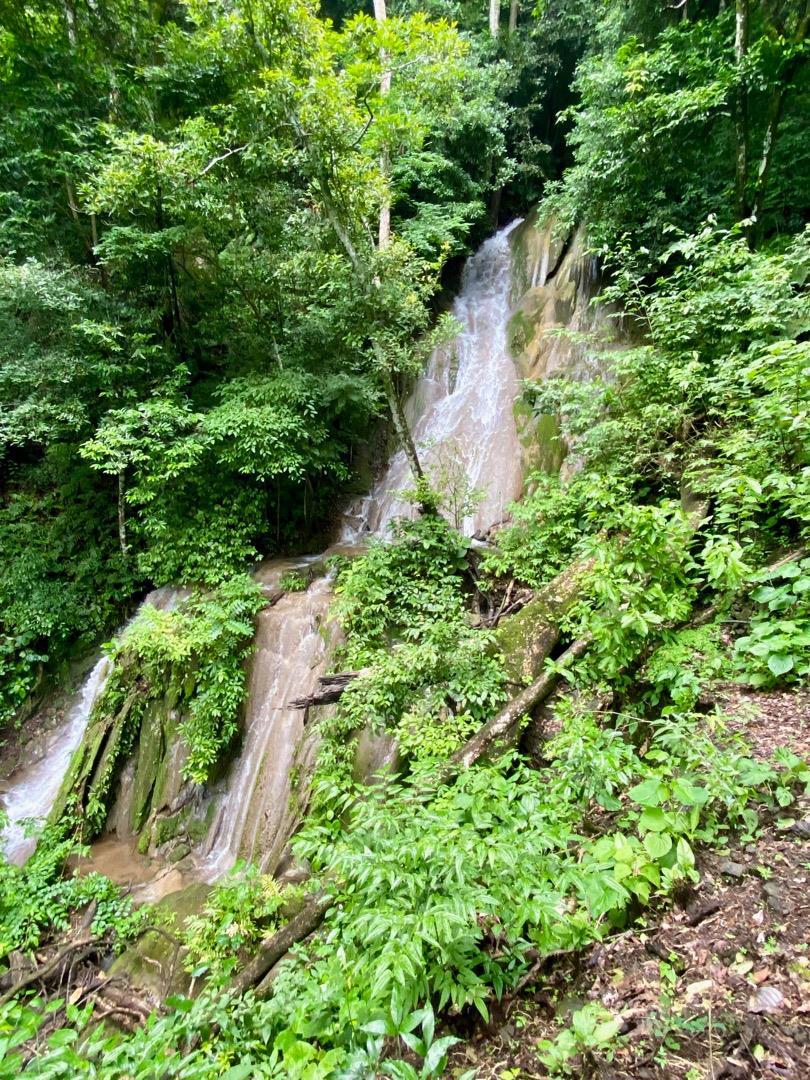 Residential for sale at 123 Natureza Viva Avenue, San Mateo CA featuring 3 beds and 2 baths