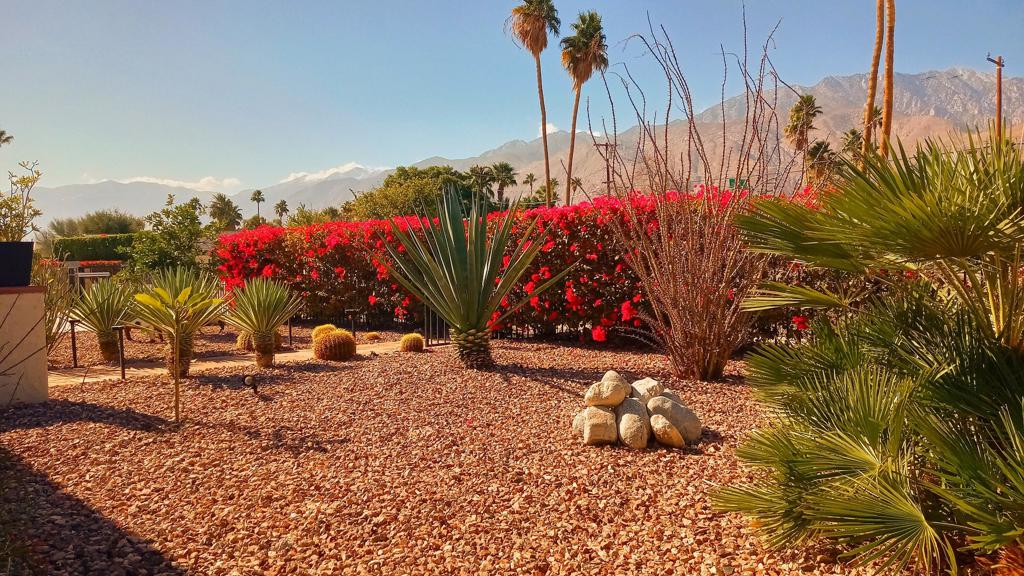 Residential Lease for rent at 2200 E Acacia, Palm Springs CA featuring 3 beds and 2 baths
