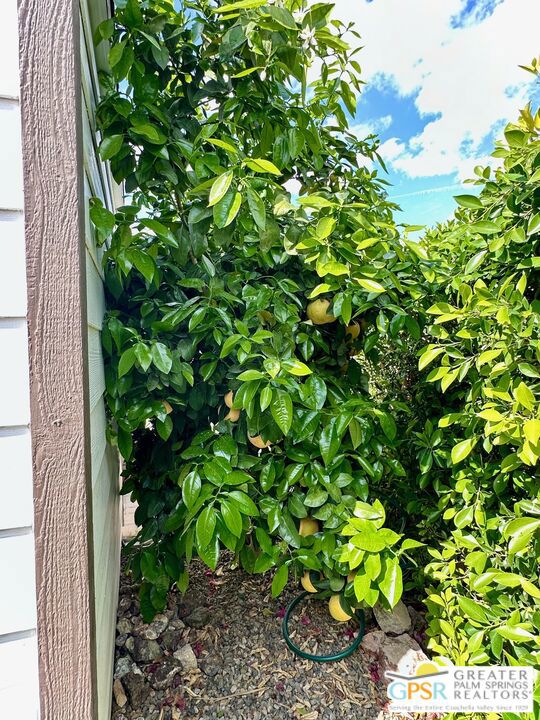 Manufactured In Park for sale at 69801 Ramon Road 99, Cathedral City CA featuring 3 beds and 2 baths