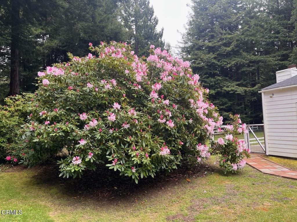 Residential for sale at 19701 Noyo Acres Drive, Fort Bragg CA featuring 3 beds and 2 baths