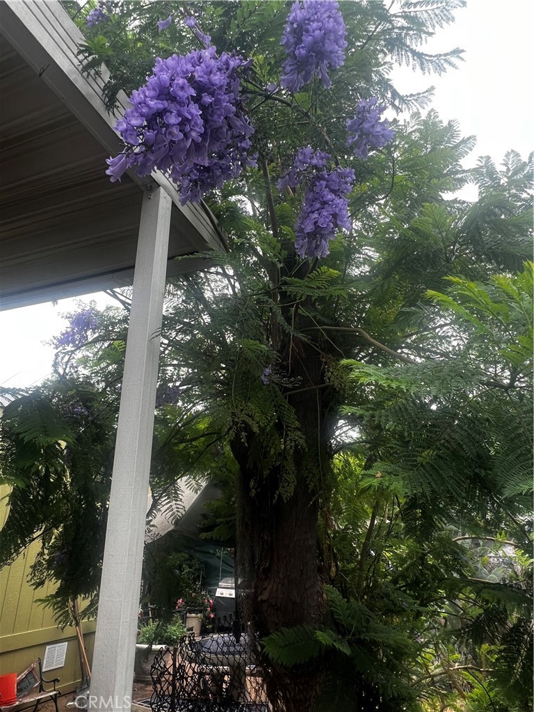 Manufactured In Park for sale at 351 E Bradley Avenue 8, El Cajon CA featuring 3 beds and 2 baths