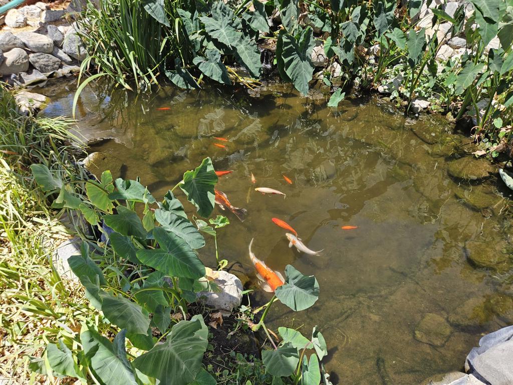 Residential for sale at 65650 10th Street, Desert Hot Springs CA featuring 3 beds and 2 baths