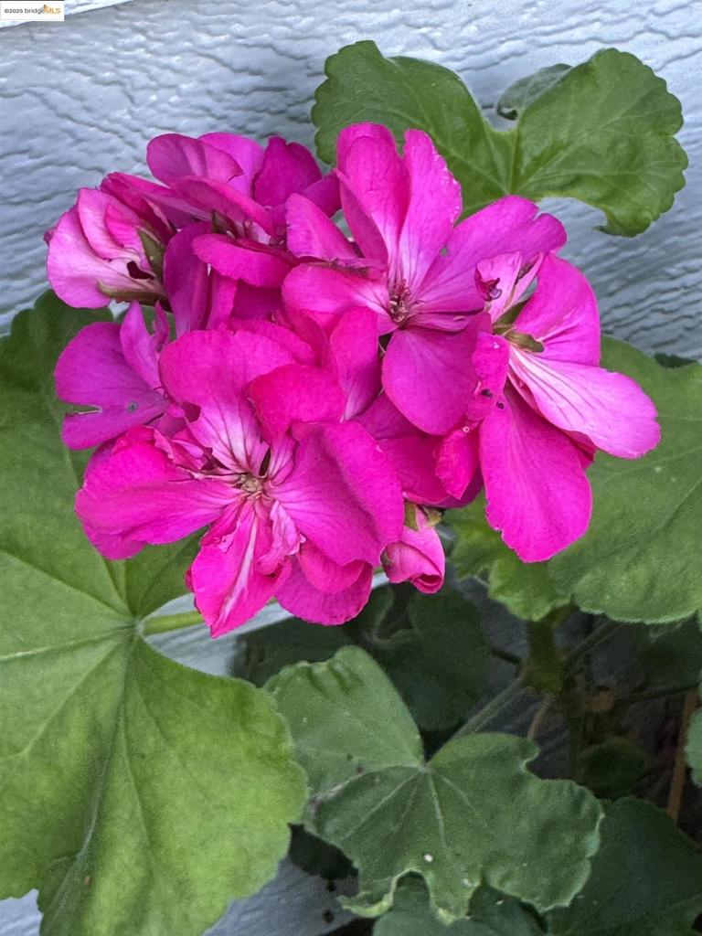 Residential for sale at 3124 3124 Sunflower Drive, Antioch CA featuring 5 beds and 3 baths