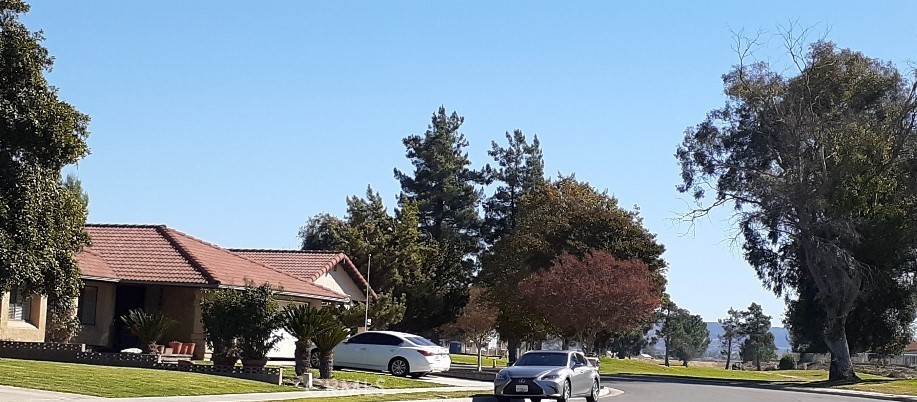 Residential for sale at 1484 Pepper Tree Drive, Hemet CA featuring 3 beds and 2 baths