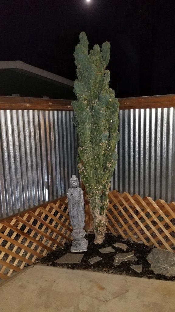 Manufactured In Park for sale at 22 Jupiter Street, Palm Springs CA featuring 2 beds and 2 baths