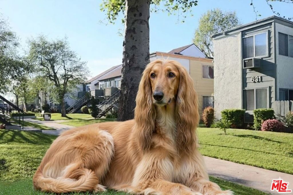 Residential Lease for rent at 631 N Bristol Street 66, Santa Ana CA featuring 1 bed and 1 bath