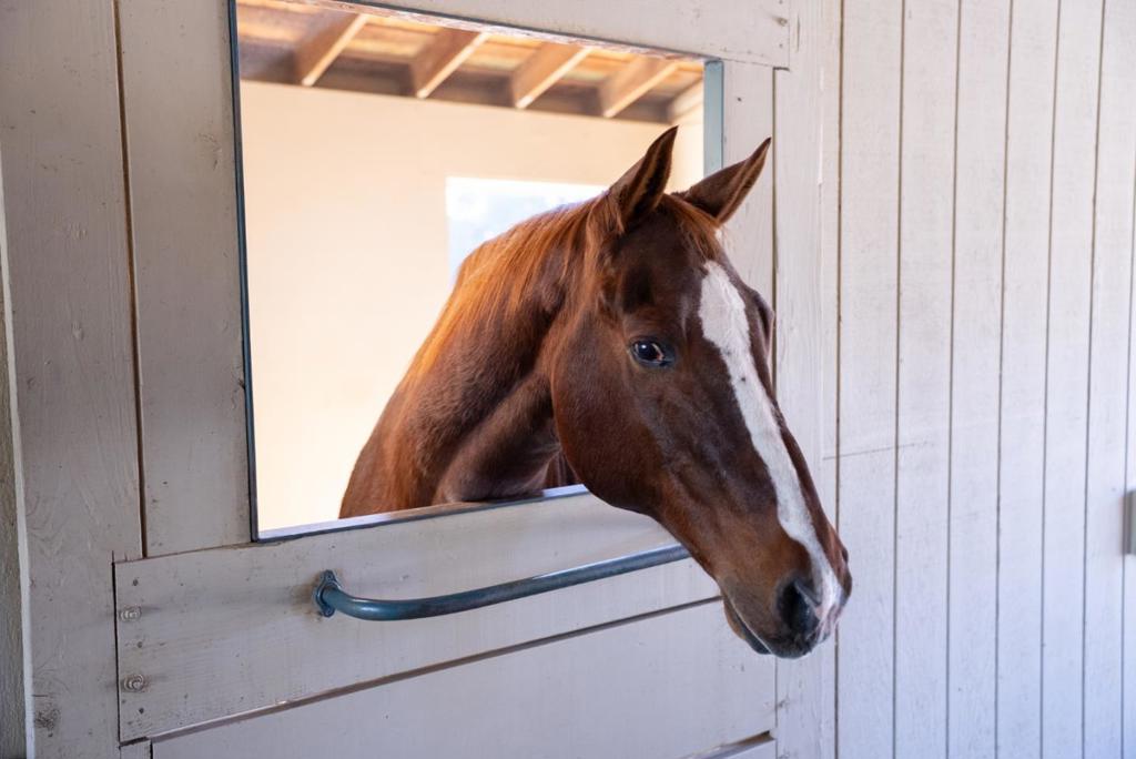 Residential for sale at 3485 Stable Lane, Santa Cruz CA featuring 3 beds and 2 baths