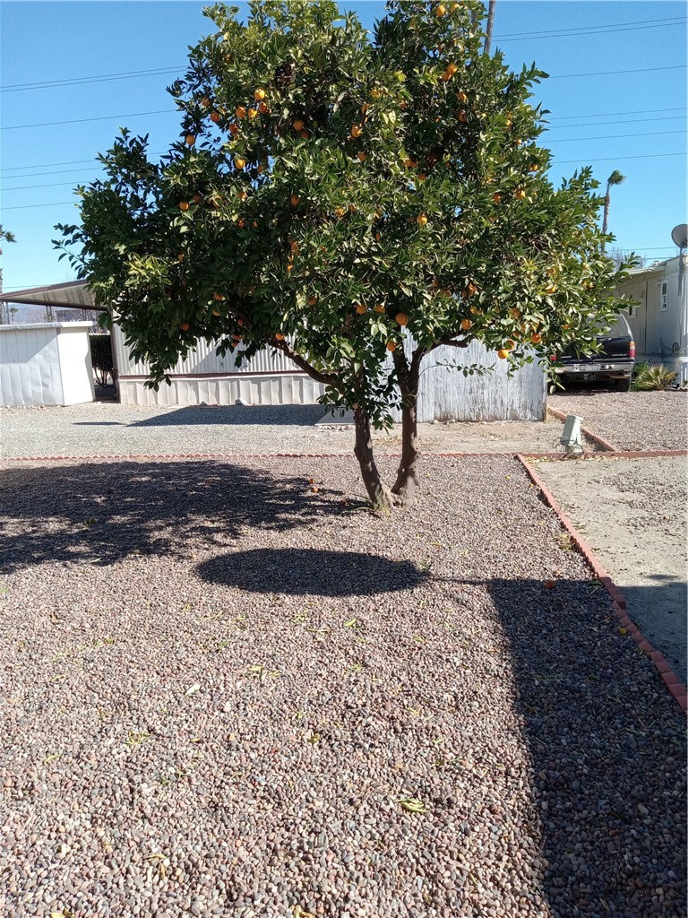 Manufactured In Park for sale at 1600 S San Jacinto Avenue 138, San Jacinto CA featuring 2 beds and 2 baths