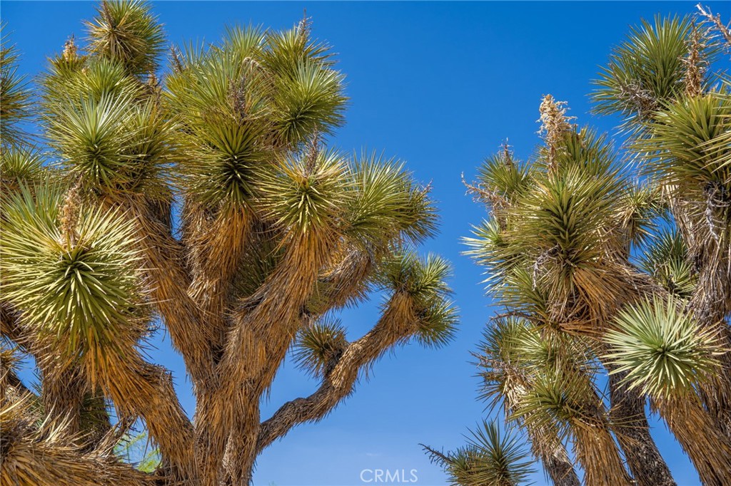 Residential for sale at 56488 El Dorado Drive, Yucca Valley CA featuring 3 beds and 2 baths