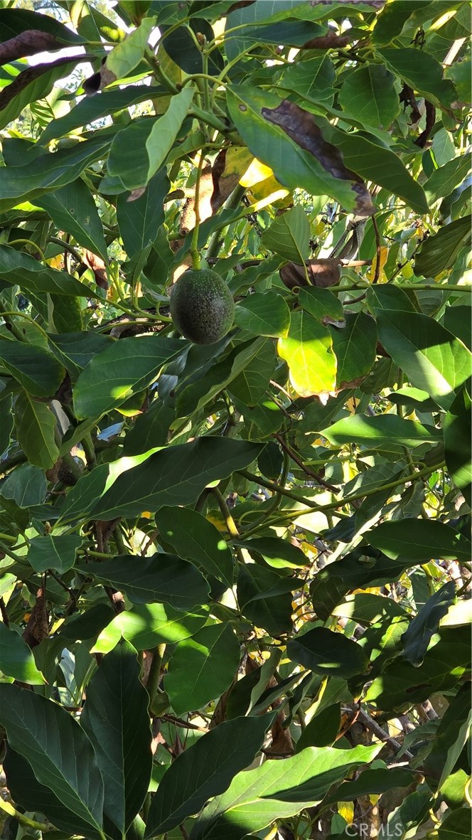 Residential for sale at 4441 Los Serranos Blvd, Chino Hills CA featuring 3 beds and 2 baths