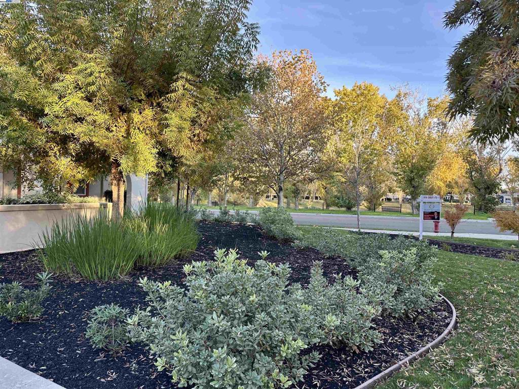 Residential for sale at 372 S Caballo Street, Mountain House CA featuring 5 beds and 3 baths