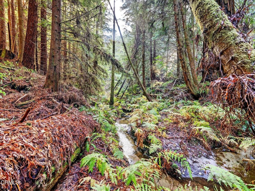 Residential for sale at 19400 Dorffi Road, Fort Bragg CA featuring 3 beds and 3 baths