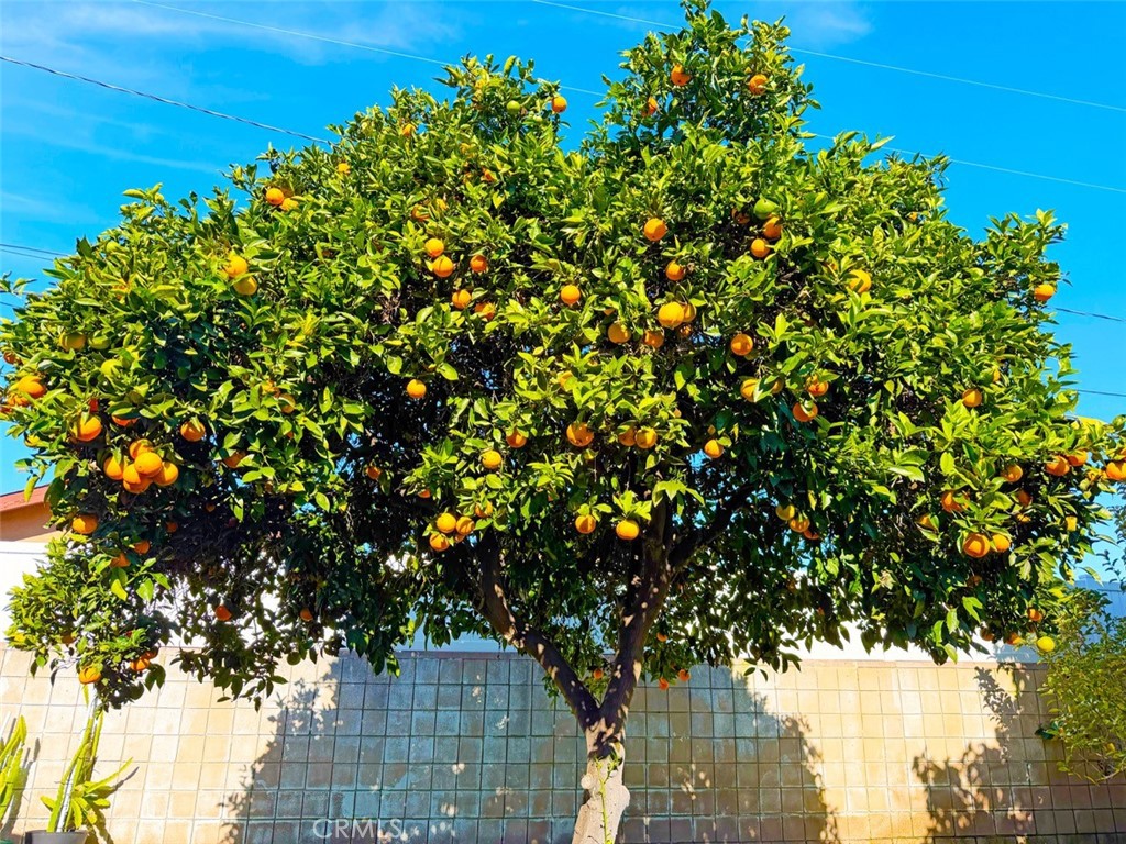 Residential Lease for rent at 22706 Rashdall, Carson CA featuring 3 beds and 2 baths