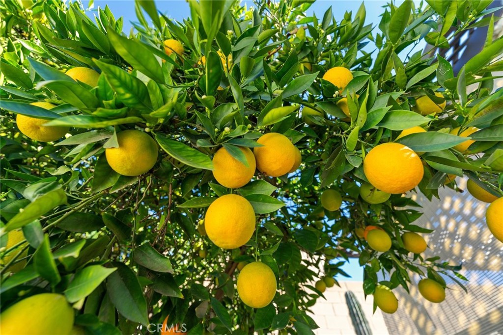 Residential for sale at 11795 Crystal, Chino CA featuring 3 beds and 2 baths