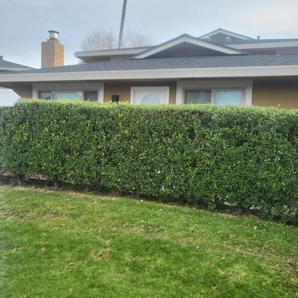 Residential for sale at 1420 Ruby Court 1, Capitola CA featuring 2 beds and 1 bath