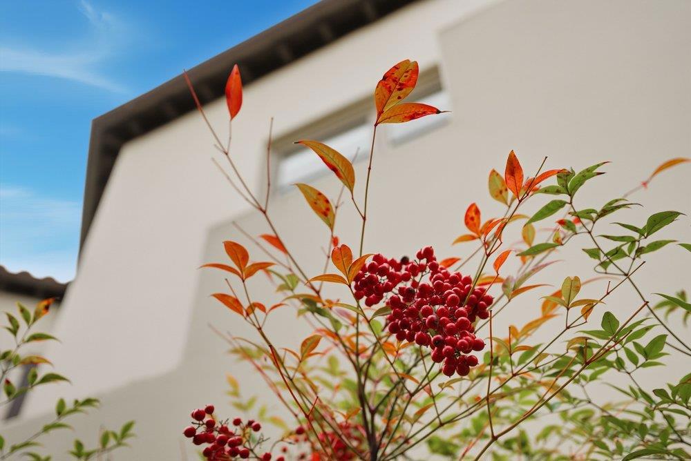 Residential for sale at 141 W 3rd Avenue, San Mateo CA featuring 1 bed and 1 bath