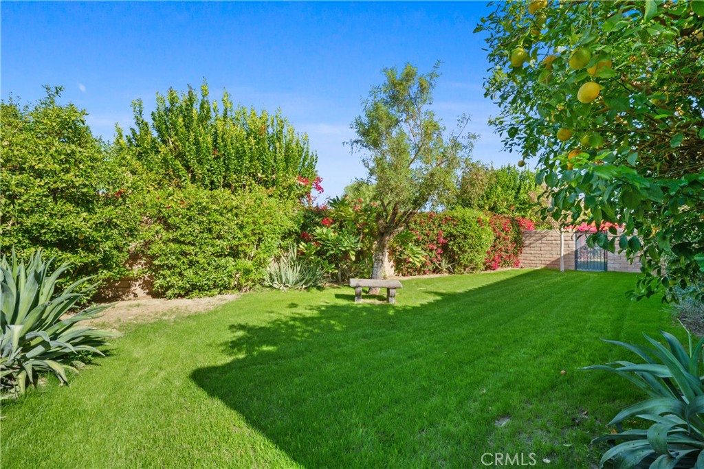 Residential Lease for rent at 82322 Travolta, Indio CA featuring 3 beds and 2 baths