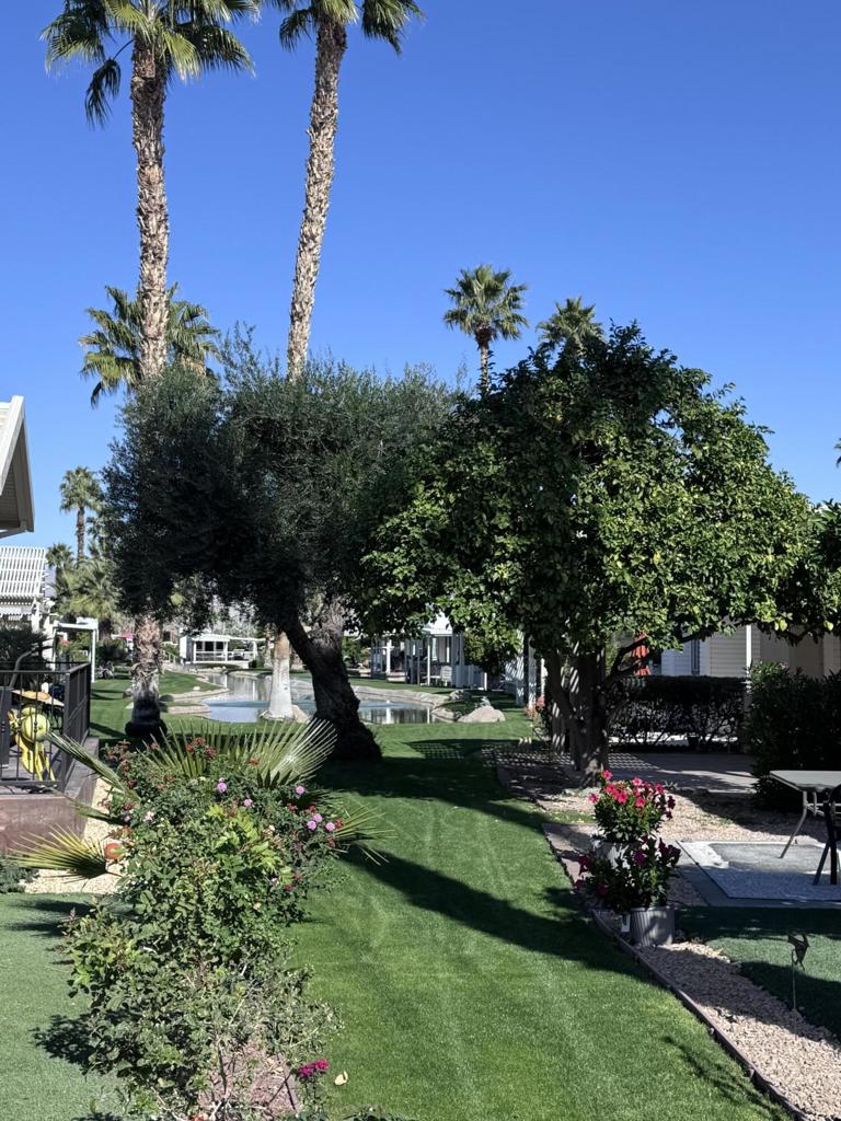 Manufactured In Park for sale at 81620 Avenue 49 66a, Indio CA featuring 1 bed and 1 bath