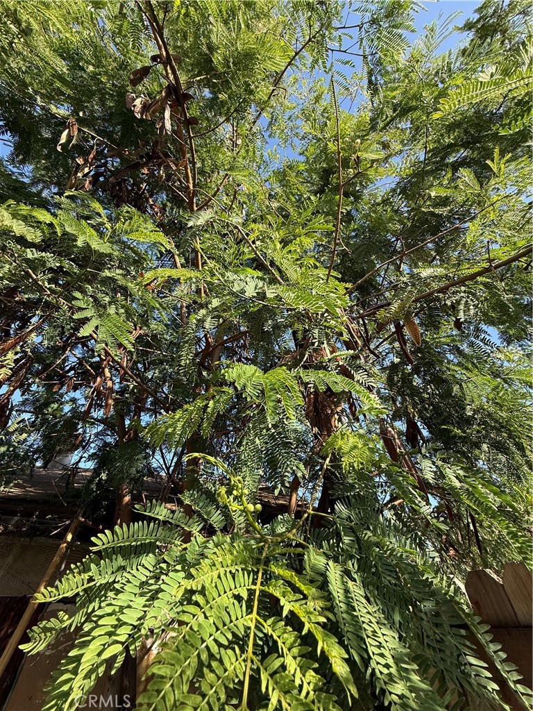 Residential for sale at 221 S Howard Street, Corona CA featuring 6 beds and 2 baths