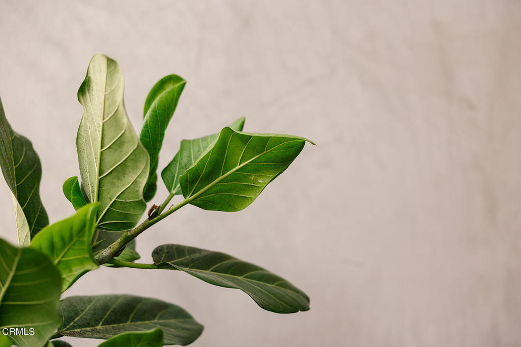 Active for sale at Glendale, CA, Glendale, CA CA and 2 baths