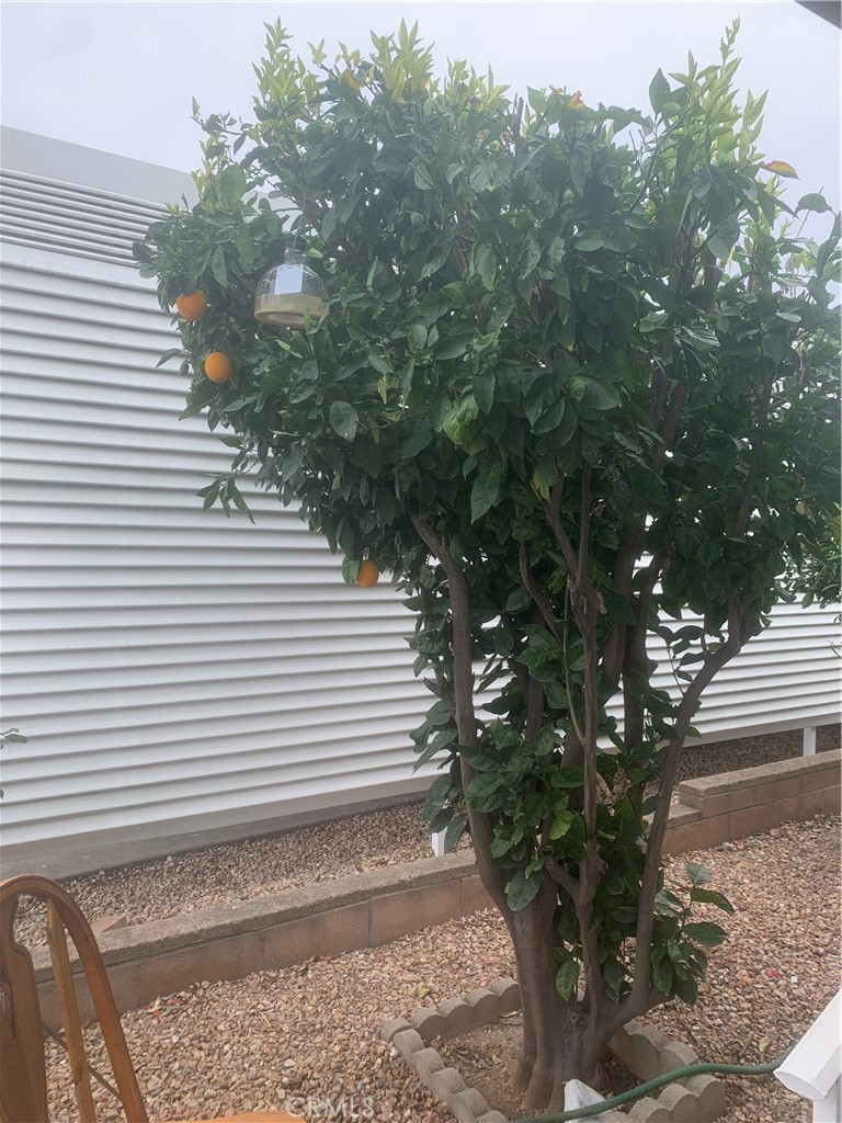 Manufactured In Park for sale at 35218 Fir 120, Yucaipa CA featuring 3 beds and 2 baths