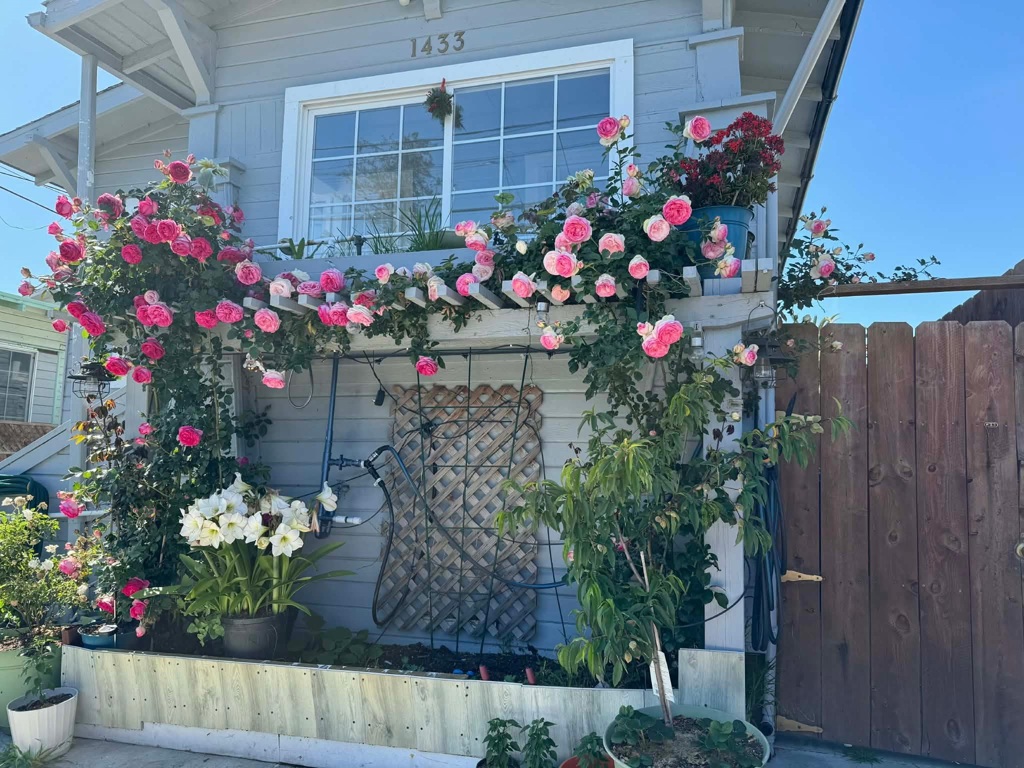Residential for sale at 1433 1433 56Th Ave, Oakland CA featuring 3 beds and 2 baths