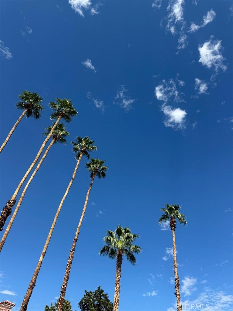 Residential Lease for rent at 2701 E Mesquite, Palm Springs CA featuring 2 beds and 2 baths