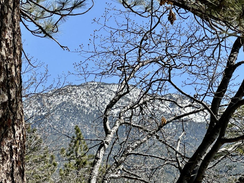 Residential for sale at 53226 Overlook Drive, Idyllwild, Riverside CA featuring 1 bed and 1 bath