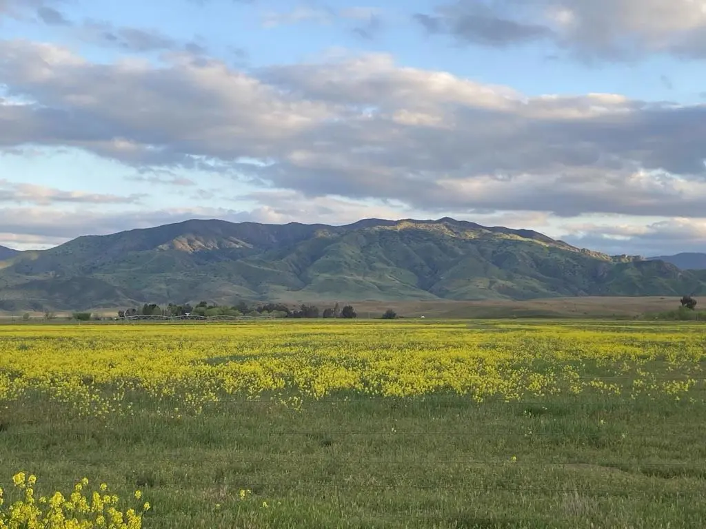 0 Panoche Road Pcl 1 Road, Other, CA — listing photo 1