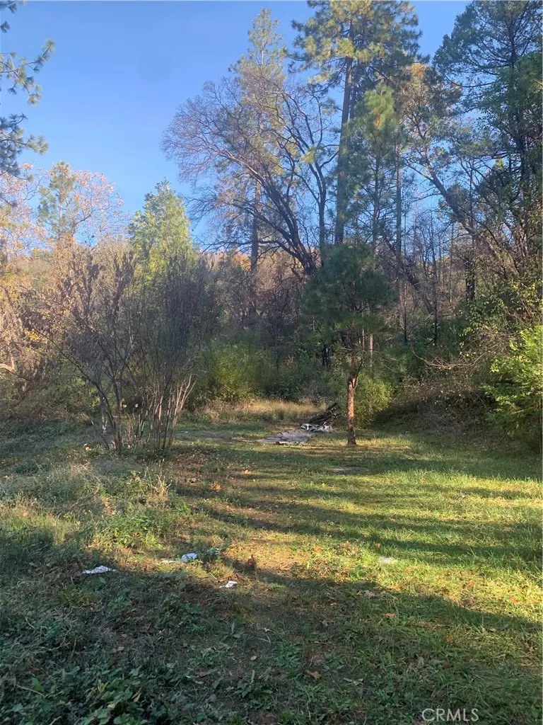 0 Four Trees Road, Concow, CA — listing photo 1
