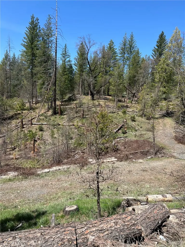 6493 Greeley Hill Road, Coulterville, CA — listing photo 1