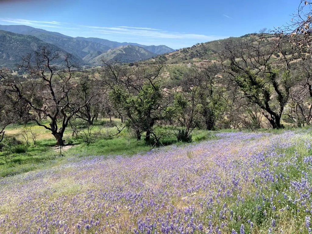 0 Cachagua, Carmel Valley, CA — listing photo 1