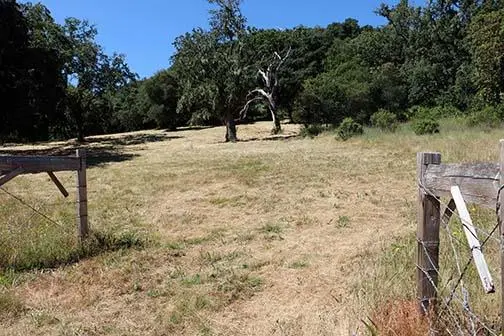 34221 Robinson Canyon Road, Carmel, CA — listing photo 1