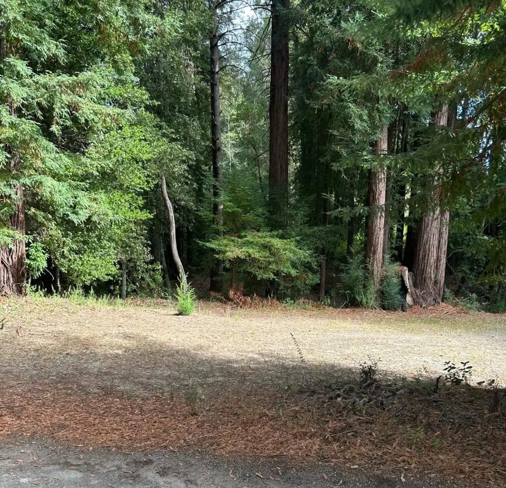 104 Mcpherson Court, Boulder Creek, CA — listing photo 1