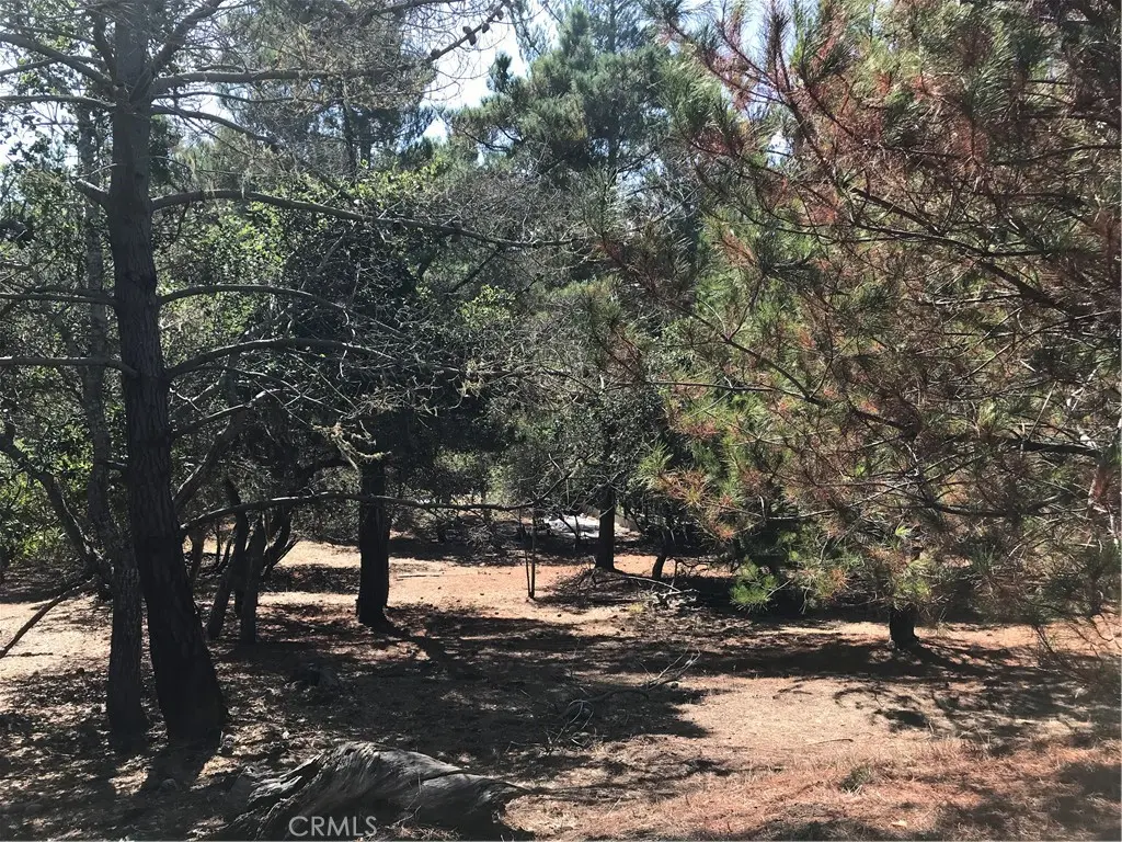0 Tully Place, Cambria, CA — listing photo 1