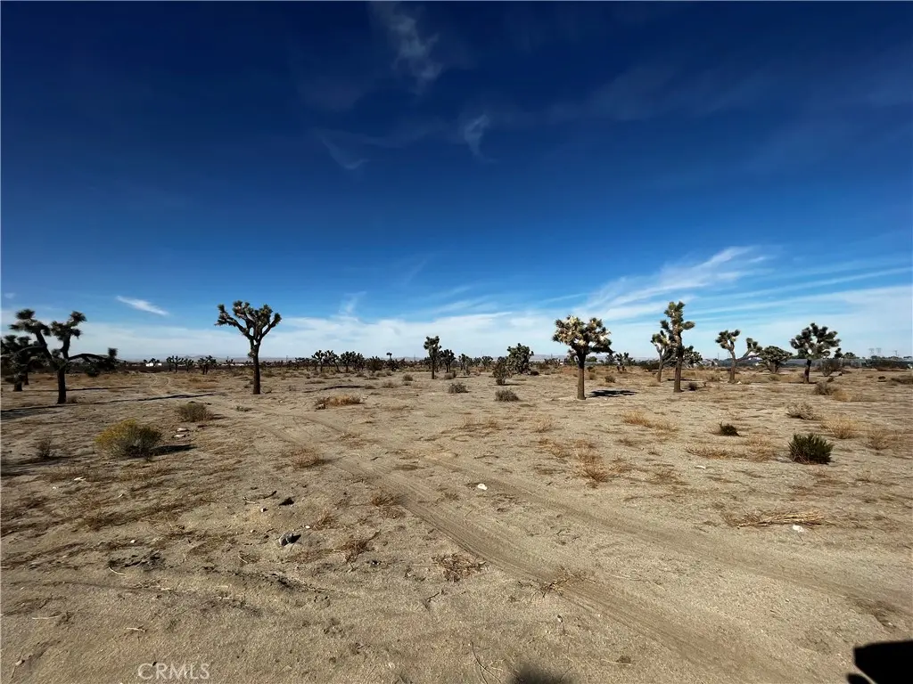 0 Arcadia, Pinon Hills, CA — listing photo 1