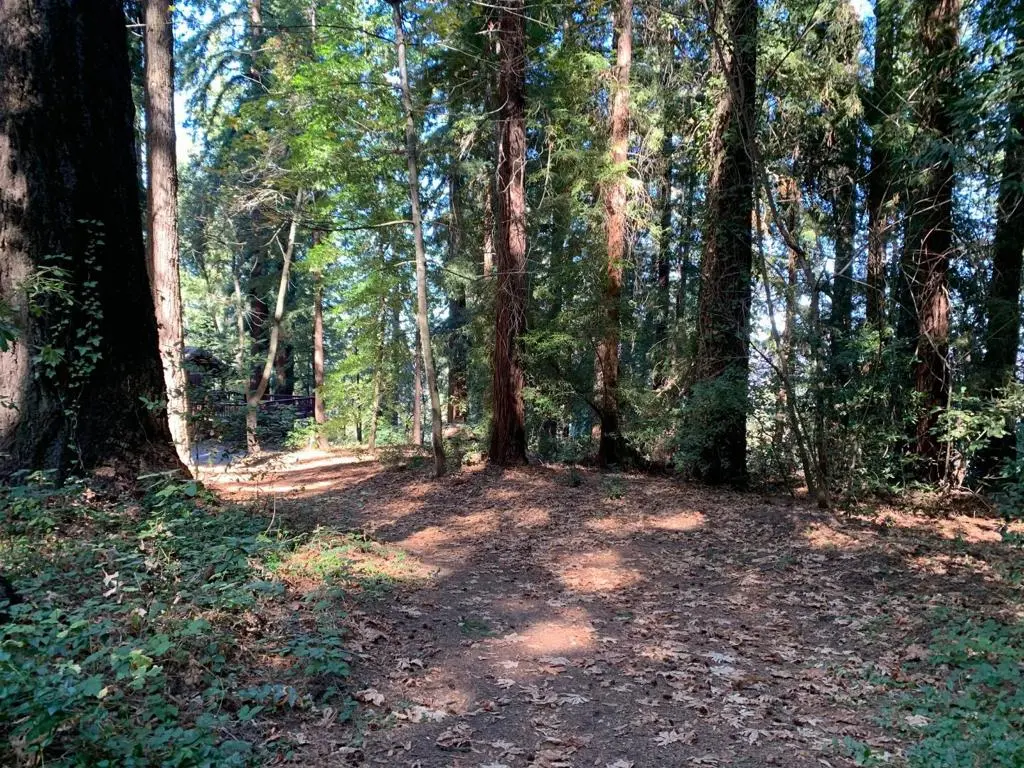 0 Santa Ana Road, Los Gatos, CA — listing photo 1