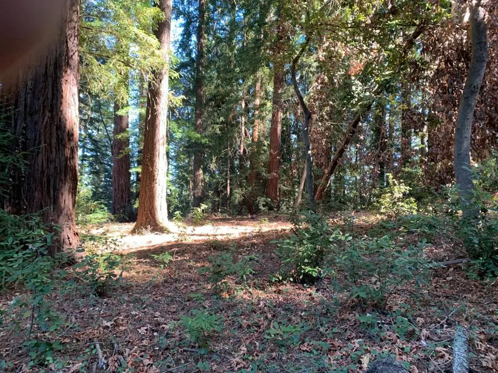 1 Santa Ana Road, Los Gatos, CA — listing photo 1