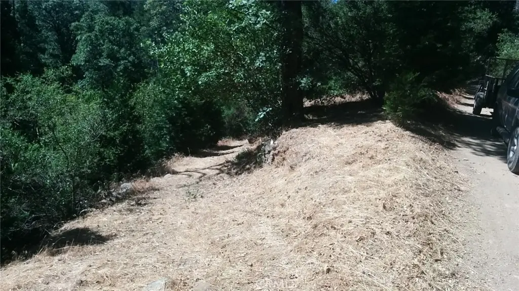 787 Burnt, Cedarpines Park, CA — listing photo 1