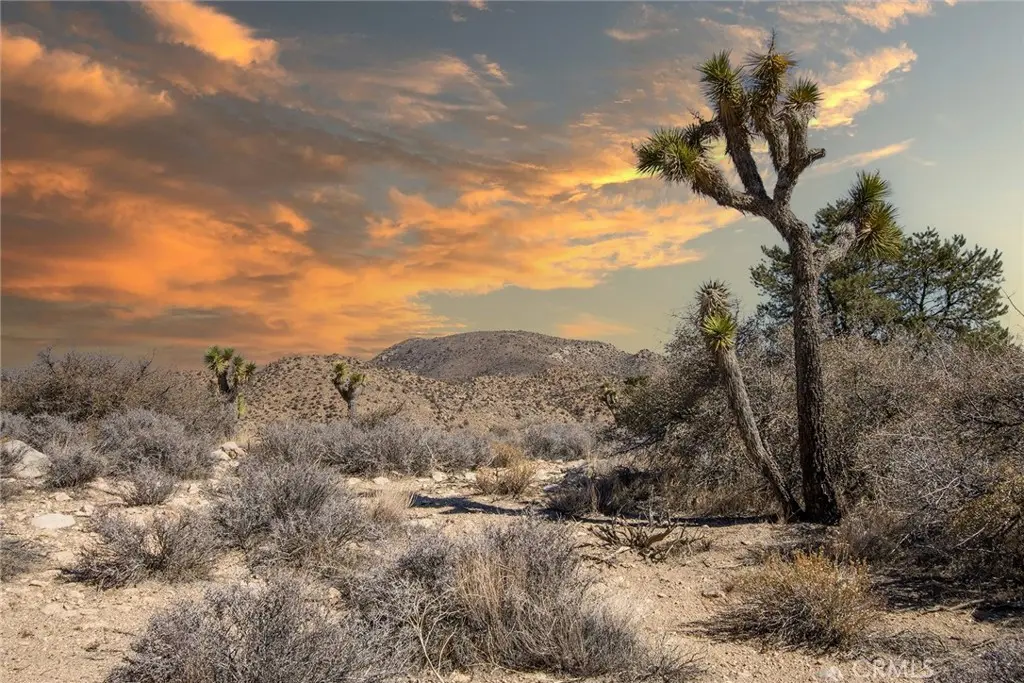 48400 Madison Road, Pioneertown, CA — listing photo 1