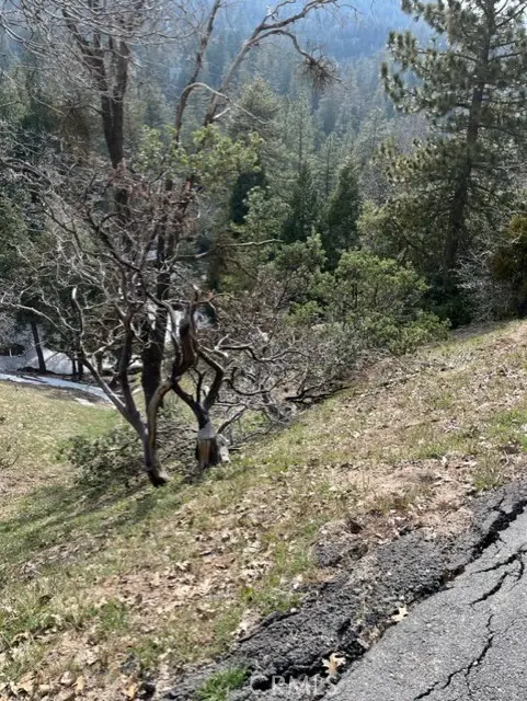 818 Berne, Crestline, CA — listing photo 1