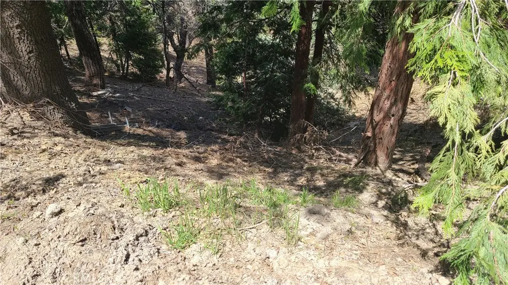 29186 Arrowhead Drive, Cedar Glen, CA — listing photo 1