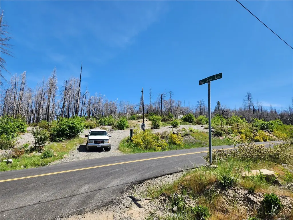 2175 Bald Rock Road, Berry Creek, CA — listing photo 1