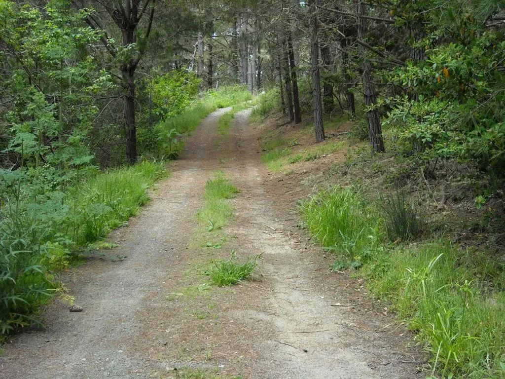 700 Cedar St., Montara, CA — listing photo 1
