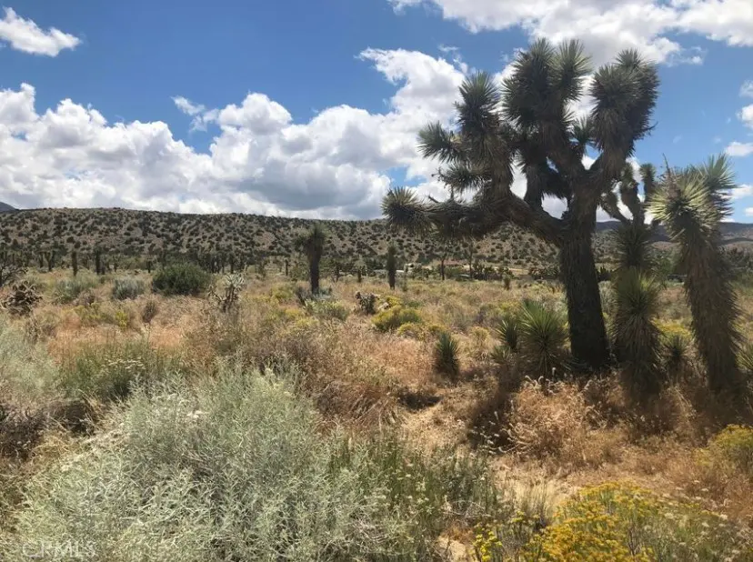 0 Vac/Pearblossom Pav /Vic 160 S, Pearblossom, CA — listing photo 1