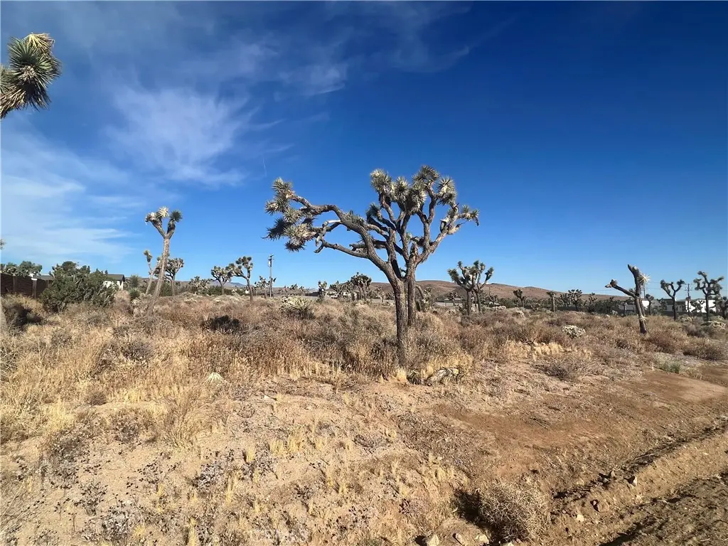 111 Wallaby, Yucca Valley, CA — listing photo 1