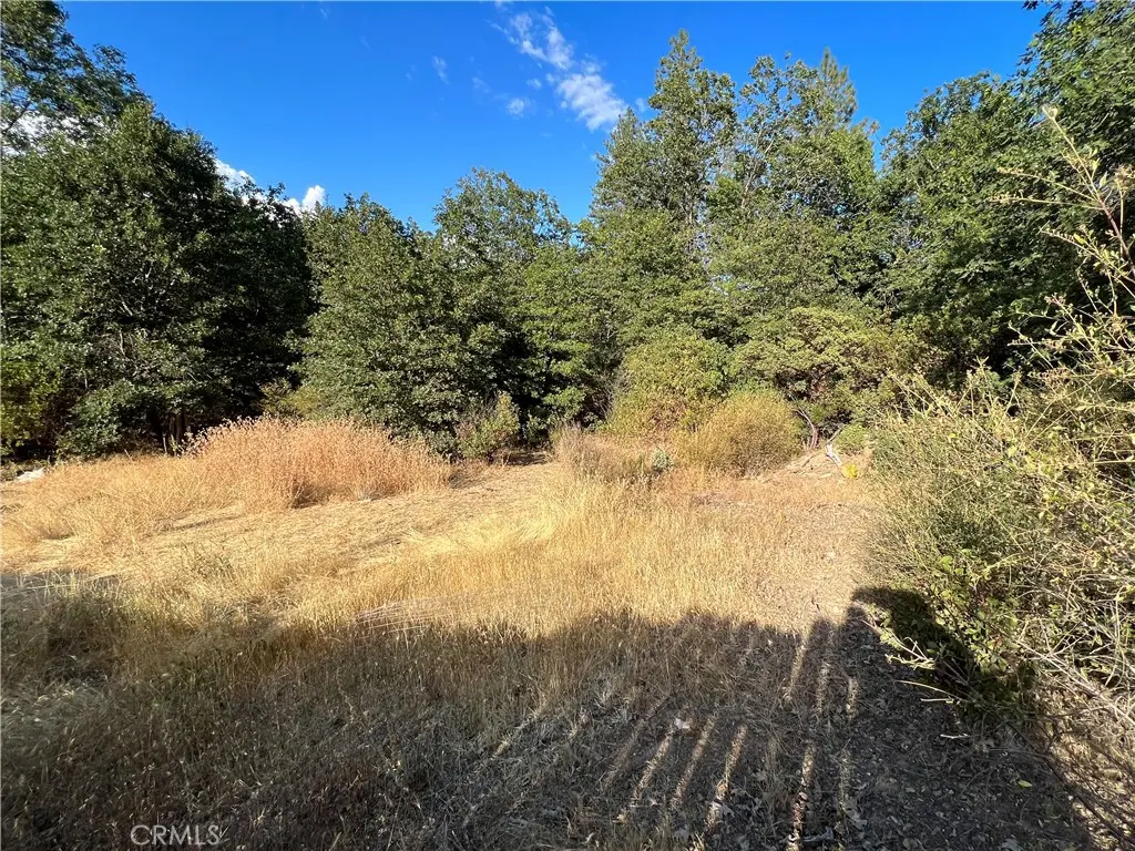 9204 Diamond Dust Trail, Kelseyville, CA — listing photo 1