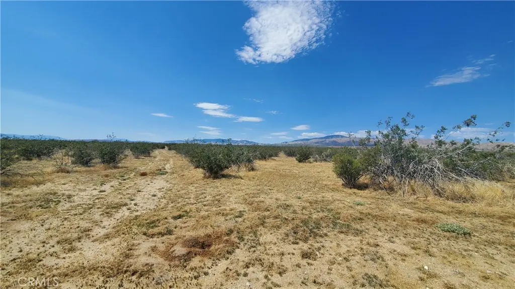 0 Budlong Ave & 114th St West, Rosamond, CA — listing photo 1