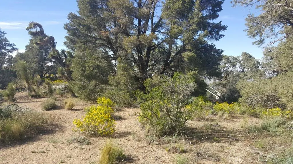 0 Scenic Creek Drive, Wrightwood, CA — listing photo 1