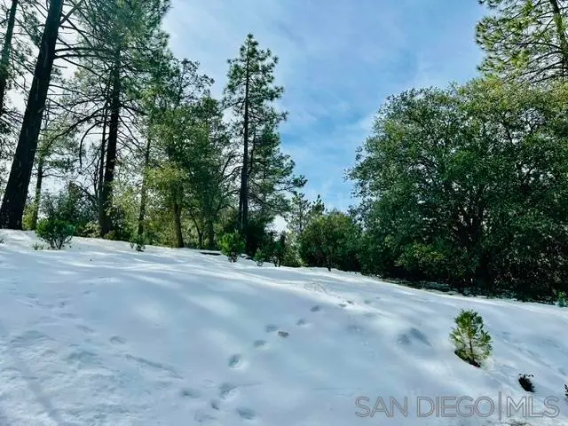 8 Saunders Meadow Rd, Idyllwild, CA — listing photo 1